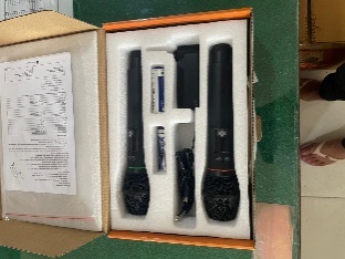MIC